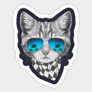 Cat with mirror sunglasses and scarf Sticker
